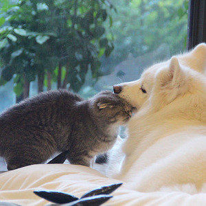 久久网色色网性爱视频
